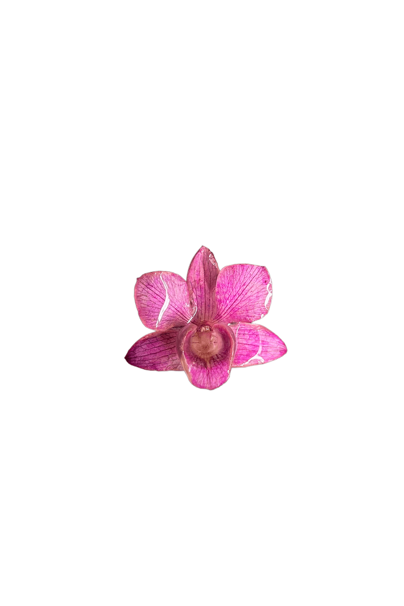Lace - Pink Necklace