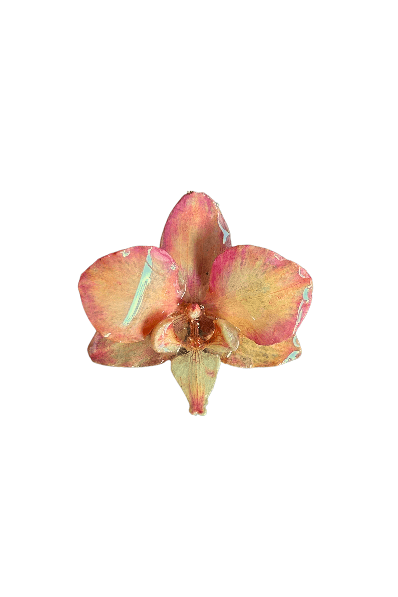 Mandarina - Orange Necklace