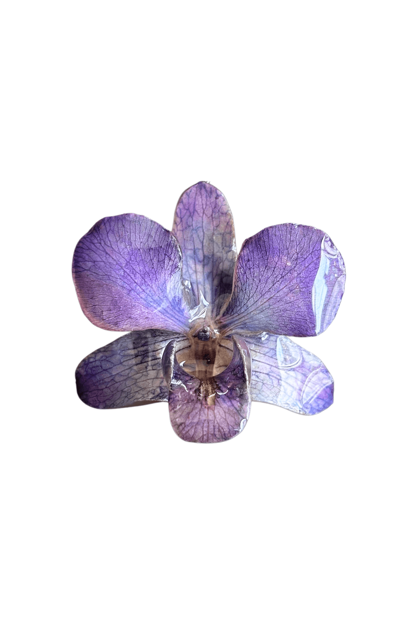 Libra - Purple Necklace